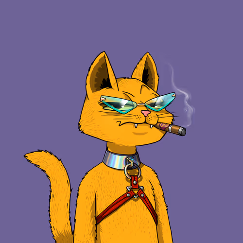 Mars Cat #9864