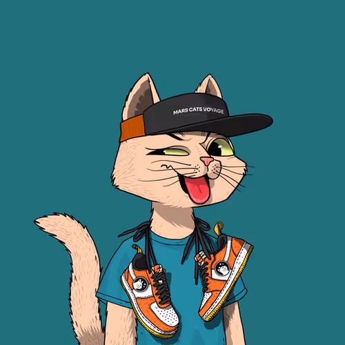 Marscatsvoyage