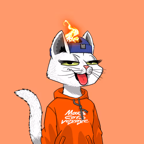 Mars Cat #2212