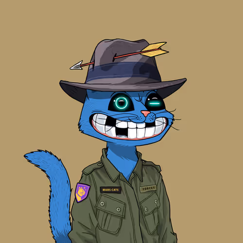 Mars Cat #12