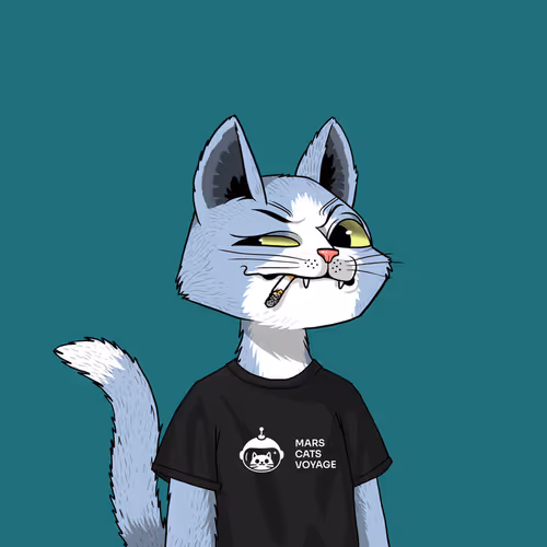 Marscatsvoyage