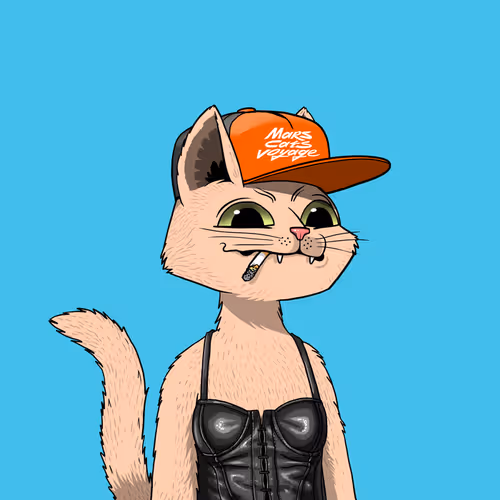 Mars Cat #4288