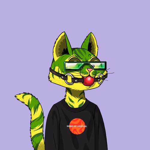 Mars Cat #69