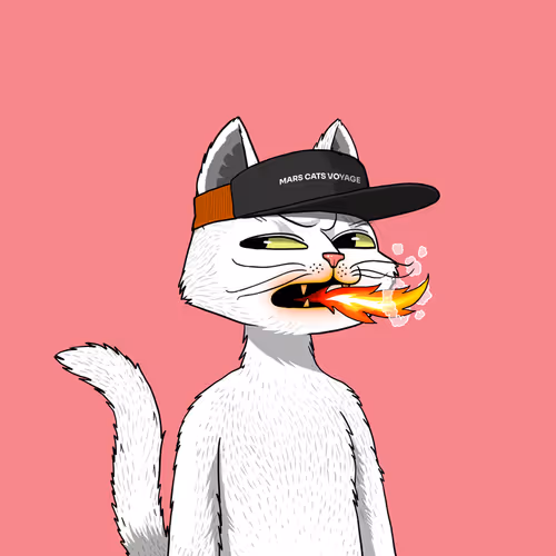 Mars Cat #906