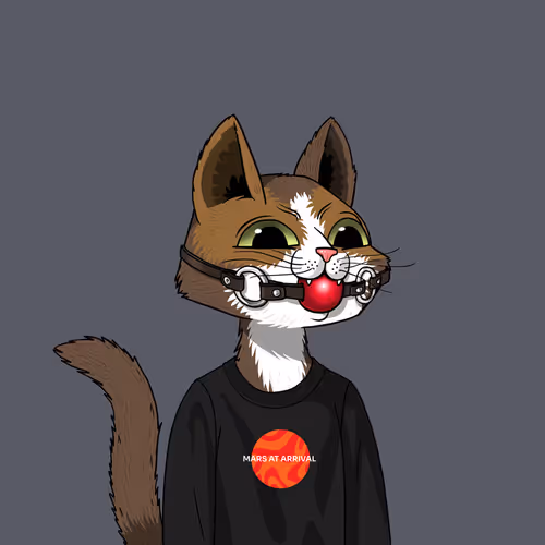 Mars Cat #1212