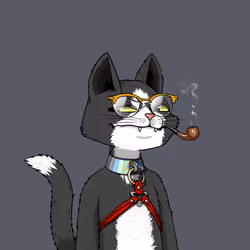 Mars Cat #954