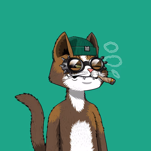 Mars Cat #736