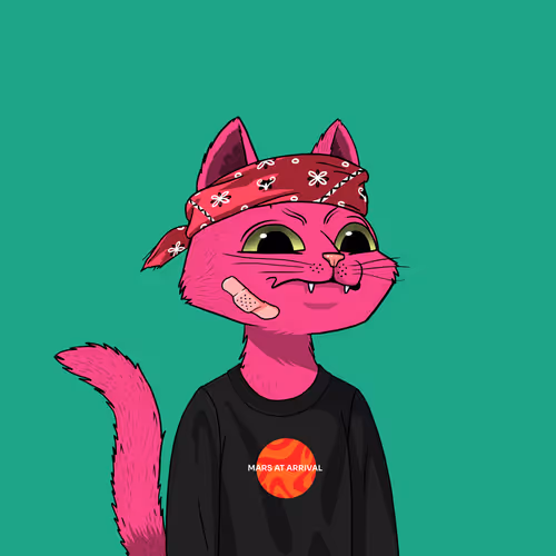Mars Cat #5108