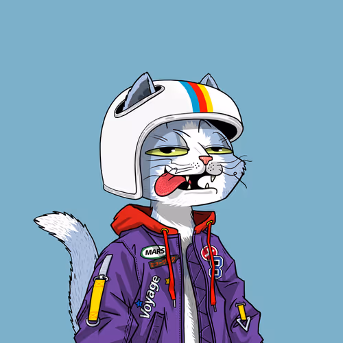 Mars Cat #4596