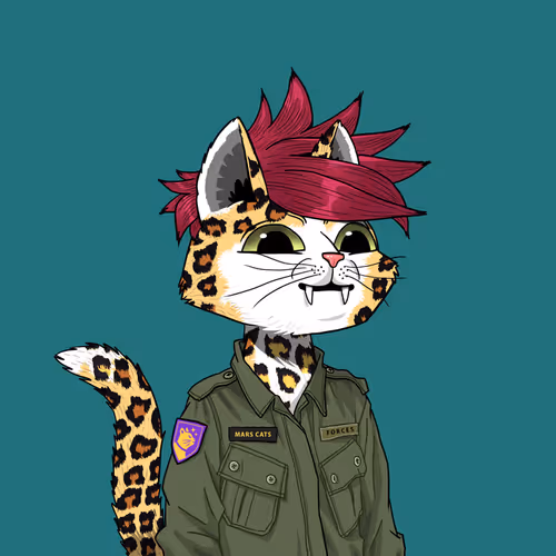 Mars Cat #9017