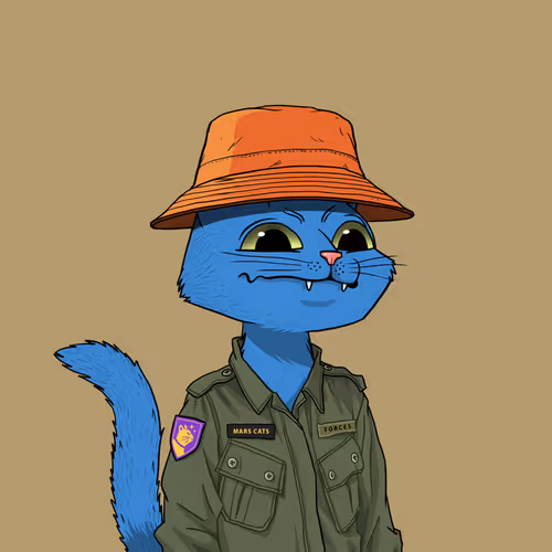 Mars Cat #1529