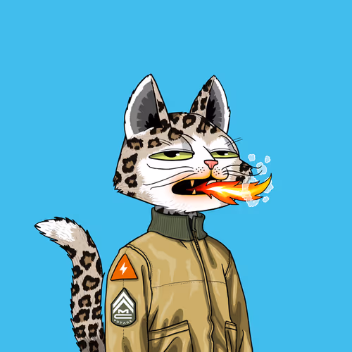 Mars Cat #8887