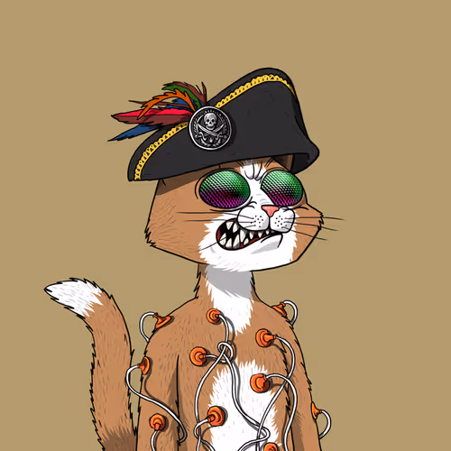 Mars Cat #482