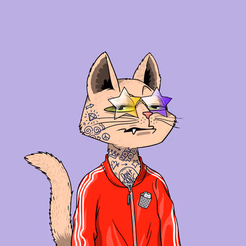 Marscatsvoyage