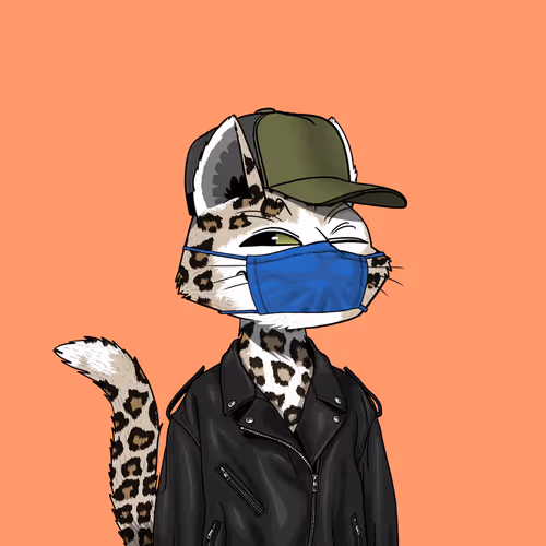 Mars Cat #5517