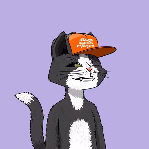 Mars Cat #3282