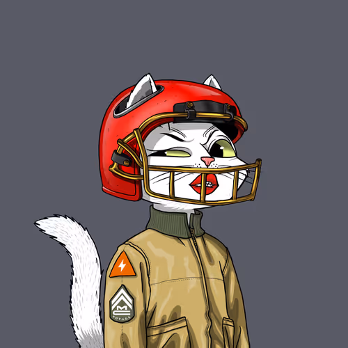 Mars Cat #6963