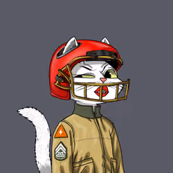 Mars Cat #6963