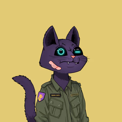 Mars Cat #1636