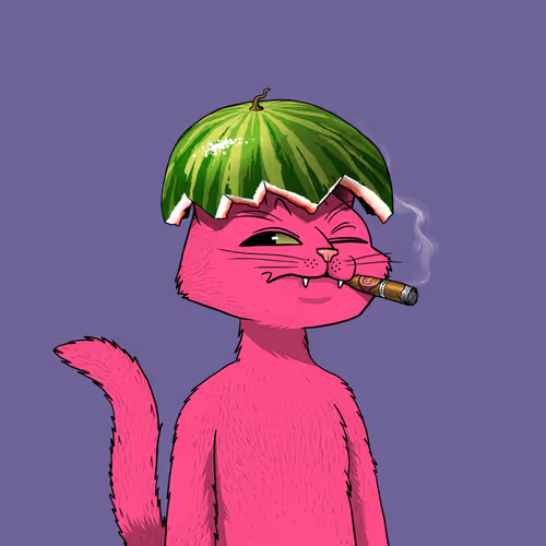 Mars Cat #4855