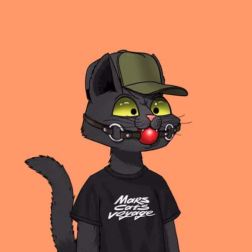 Mars Cat #6981