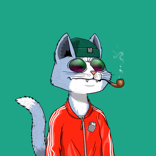 Mars Cat #2364