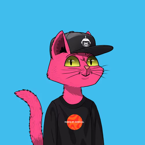 Mars Cat #4981