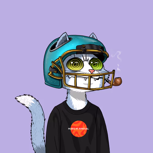Marscatsvoyage