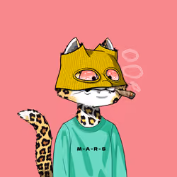 Mars Cat #9841
