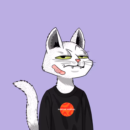 Mars Cat #9456