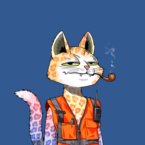 Mars Cat #2690