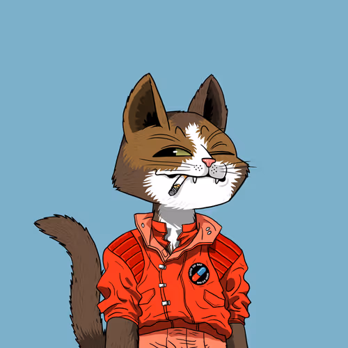 Mars Cat #3141