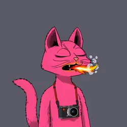 Mars Cat #5462