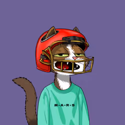 Mars Cat #2585