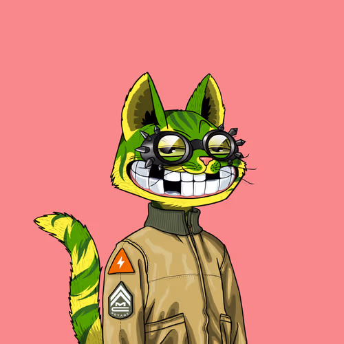 Mars Cat #1413