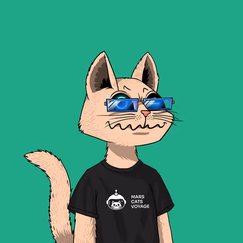 Marscatsvoyage
