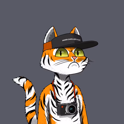 Mars Cat #6971