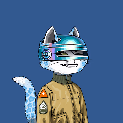 Mars Cat #2754