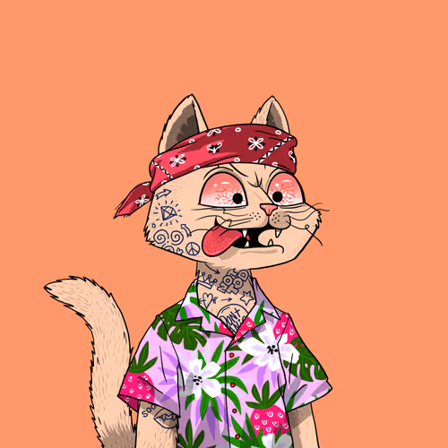 Mars Cat #7866
