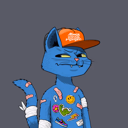 Mars Cat #291