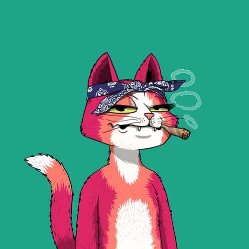 Mars Cat #241
