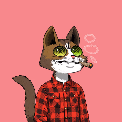 Mars Cat #5848