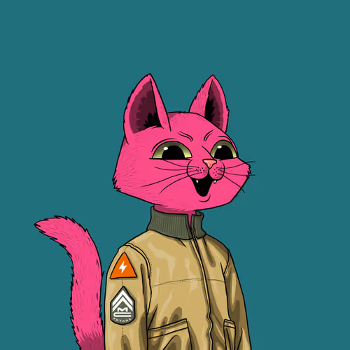 Mars Cat #1044