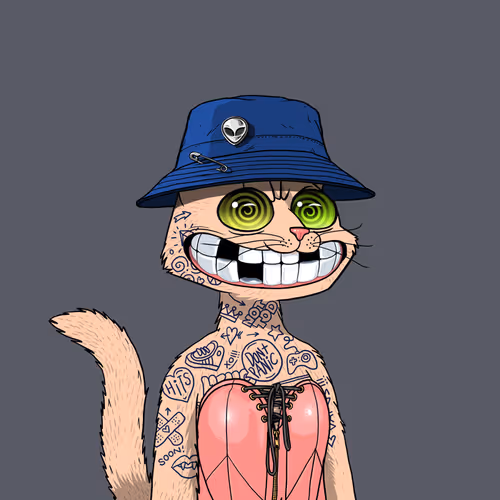 Mars Cat #6691