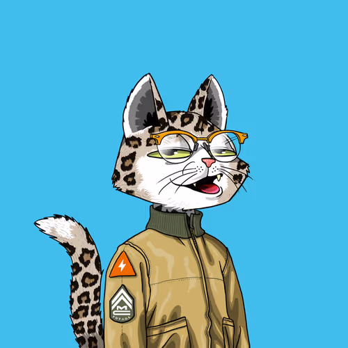 Mars Cat #8043