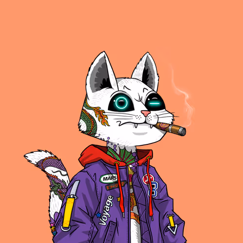 Mars Cat #6833