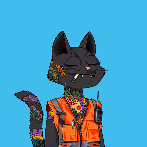 Mars Cat #1480