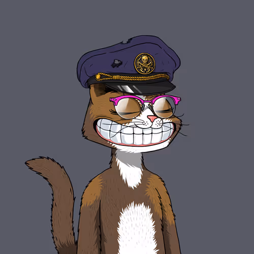 Marscatsvoyage
