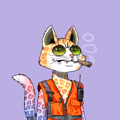 Mars Cat #5172