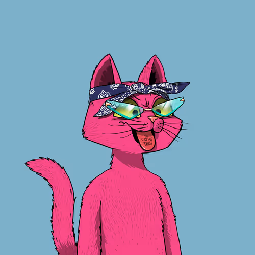Mars Cat #145
